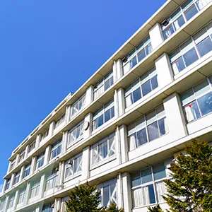学校/公共施設