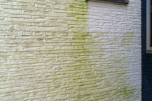 カビ・シミ・コケの発生